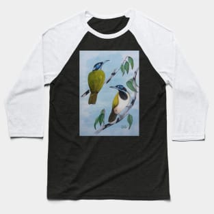 Australian Blue-Faced Honey Eaters Baseball T-Shirt